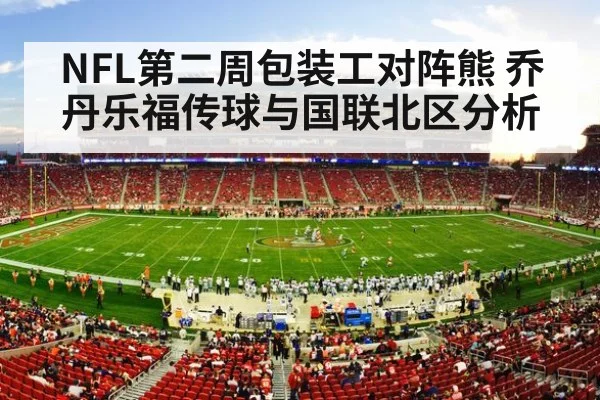 nfl stadium crowd